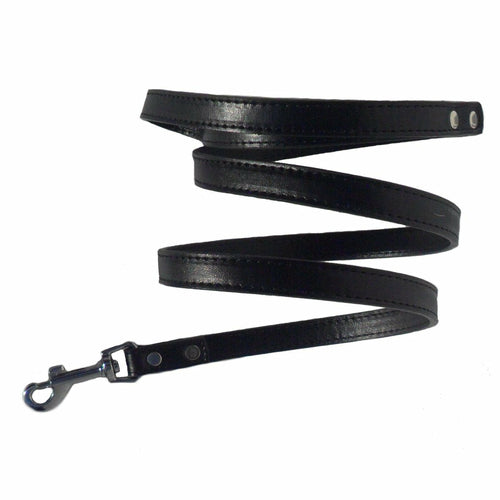 Classic Dog Leads - Medium