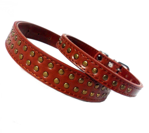 z Brown Stud Dog Collars