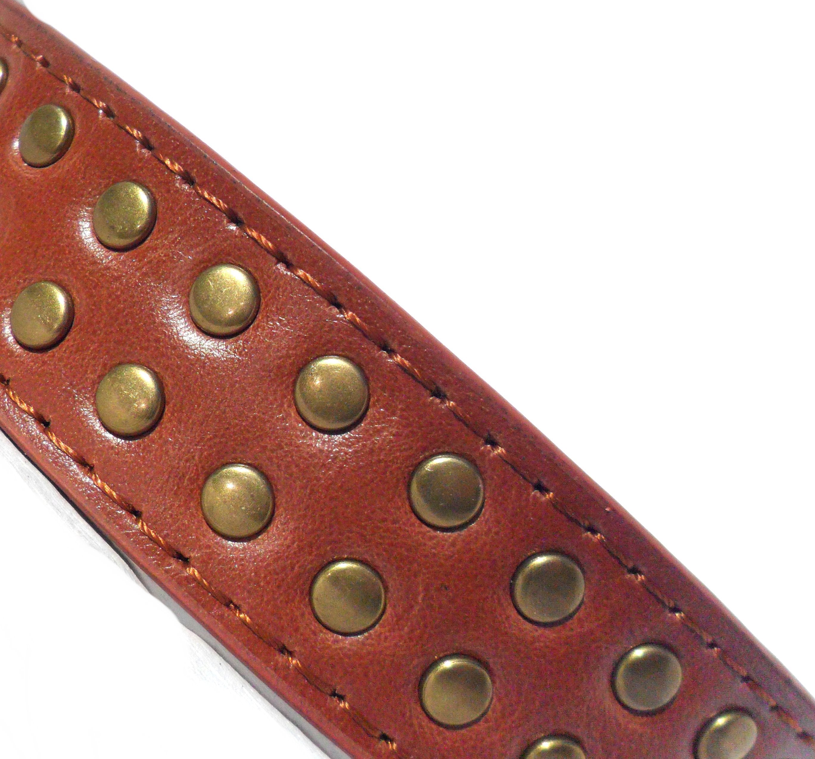 z Brown Stud Dog Collars