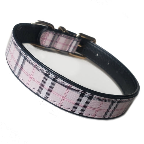 Tartan Check Dog Collars 10½ - 18"