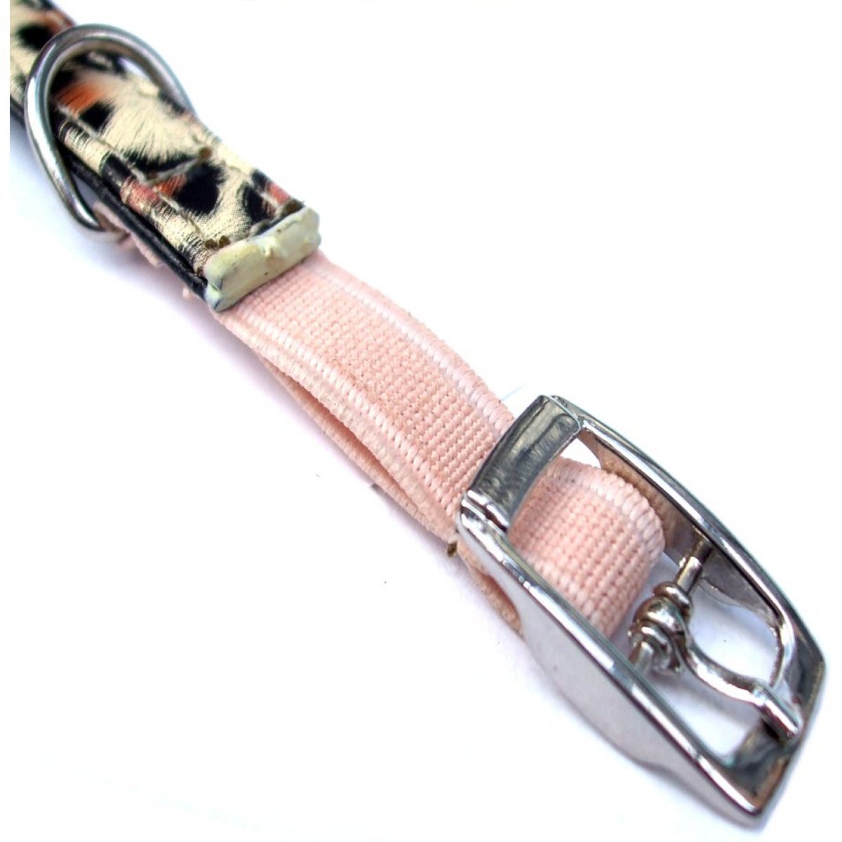 Leopard Print Cat Collar